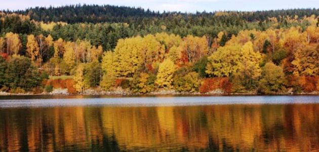 Hotel Racek Černá v Pošumaví Εξωτερικό φωτογραφία